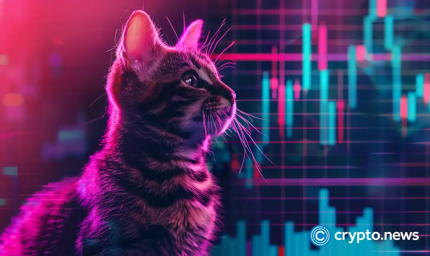 Le prix Popcat augmente à mesure que les réserves de change diminuent, les dirigeants du profit tiennent