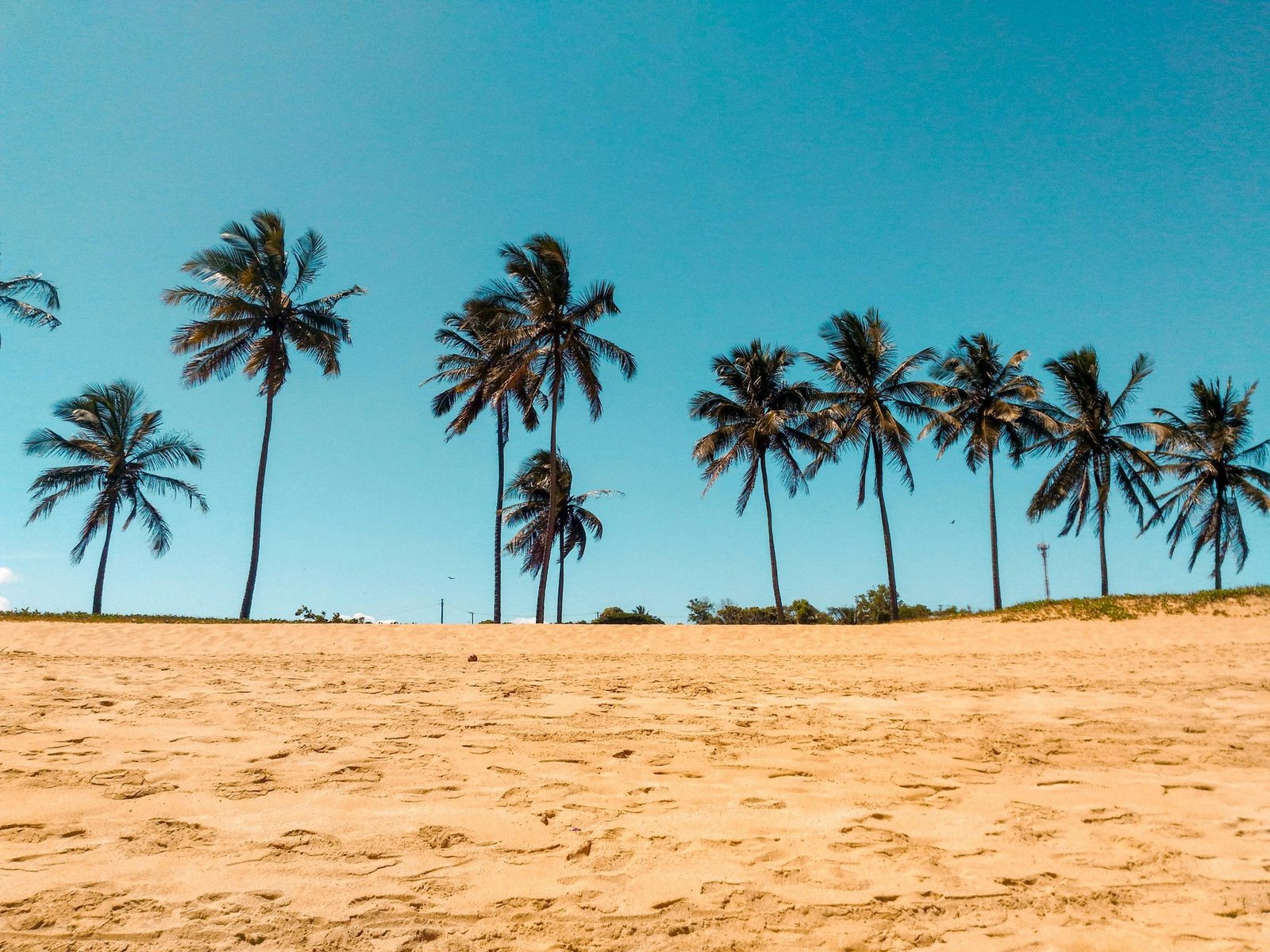 10-12 operators will dominate Brazil betting market